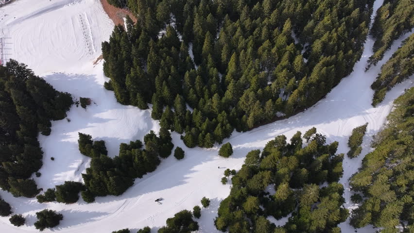 Scenic aerial view of a dense pine forest and a building covered in snow during winter, oe01