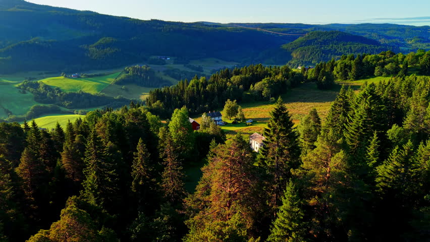 Aerial view of a forest overlooking a green valley and distant mountains under clear sky. Scenic landscape in northern Europe.