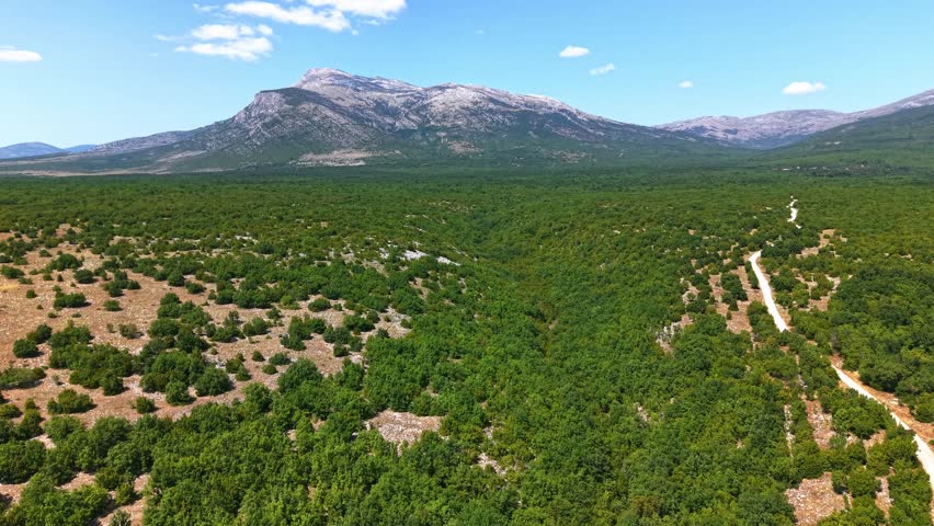 Aerial view of the Dinara mountain range and lush green valley in Croatia, scenic landscape footage