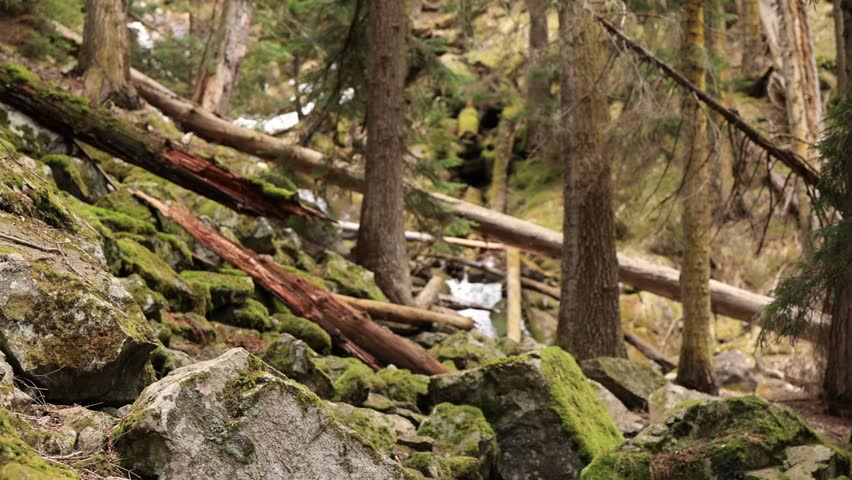 Mountain waterfall in early spring.
