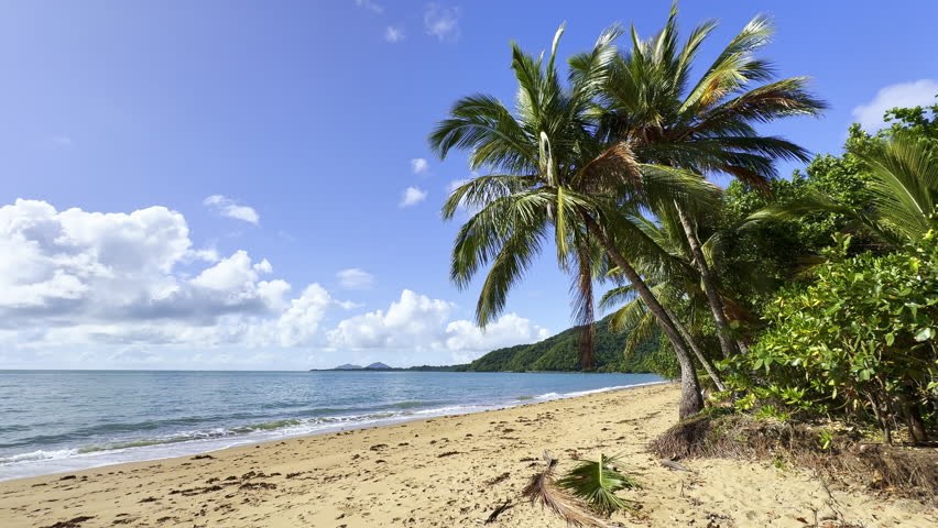 Beautiful white sand beach with palm trees on the Cassowary Coast in tropical North Queensland, Australia. Scenic coastline with turquoise water and idyllic travel destination.