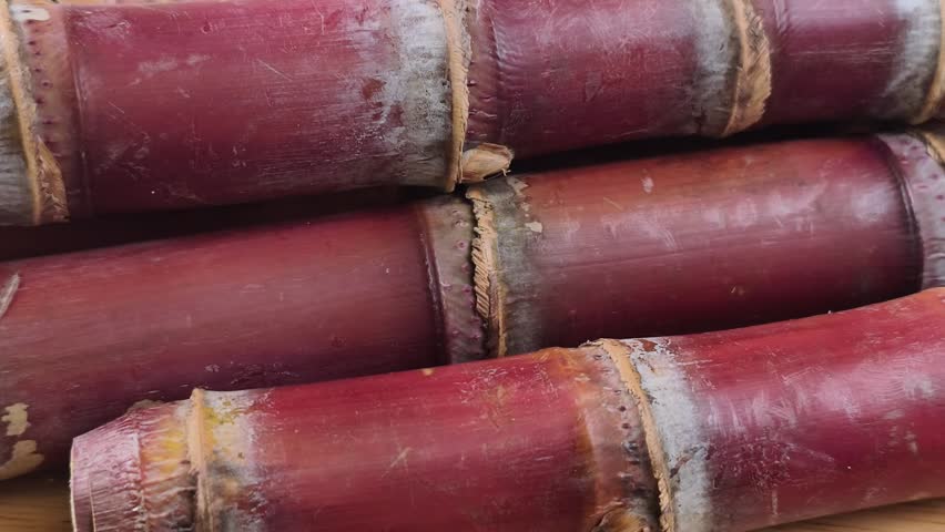 Close-up of purple sugarcane stalks on wood