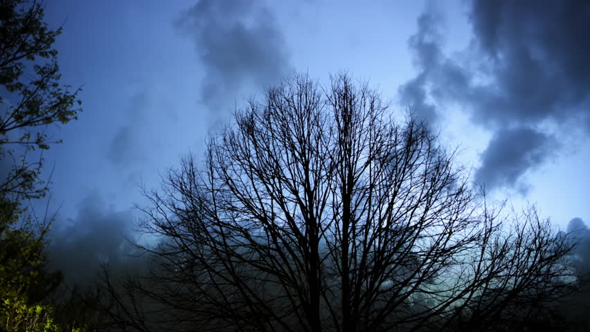 Stormy sky. Flashing lightening of thunderstorm strike the sky above trees