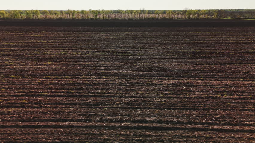 Landscape Of Field And Forest. Expansive Agricultural Scene With Horizon And Textured Soil