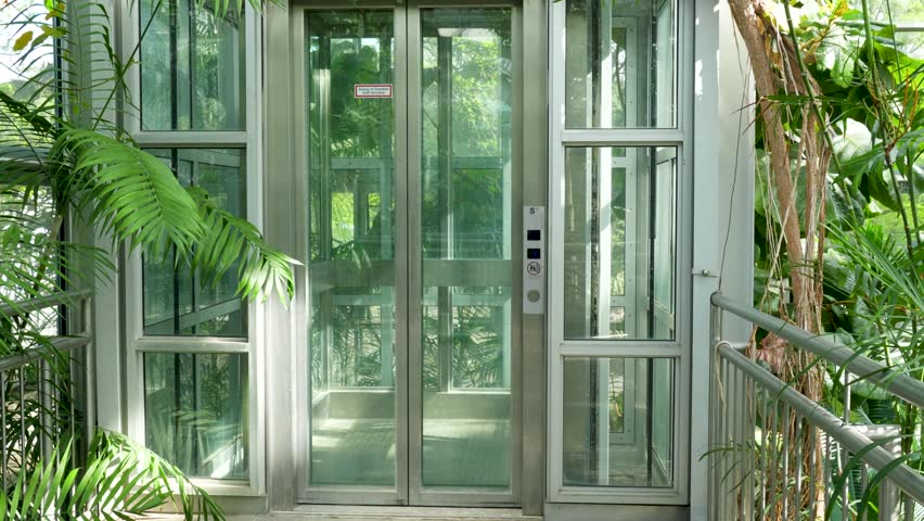 Glass elevator inside Palmengarten Frankfurt greenhouse surrounded by tropical plants and natural light creating modern botanical interior scene