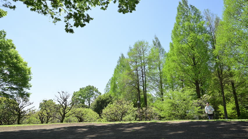 A wide-angle, full-body video of a woman engaging in aerobic exercise and running in a park with fresh greenery under a blue sky, capturing a healthy lifestyle through sports photography—a spring,summer image featuring short sleeves	