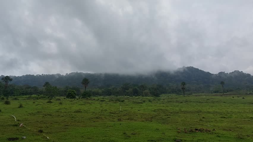 Foggy Green Landscape with Mountains and Rain Clouds