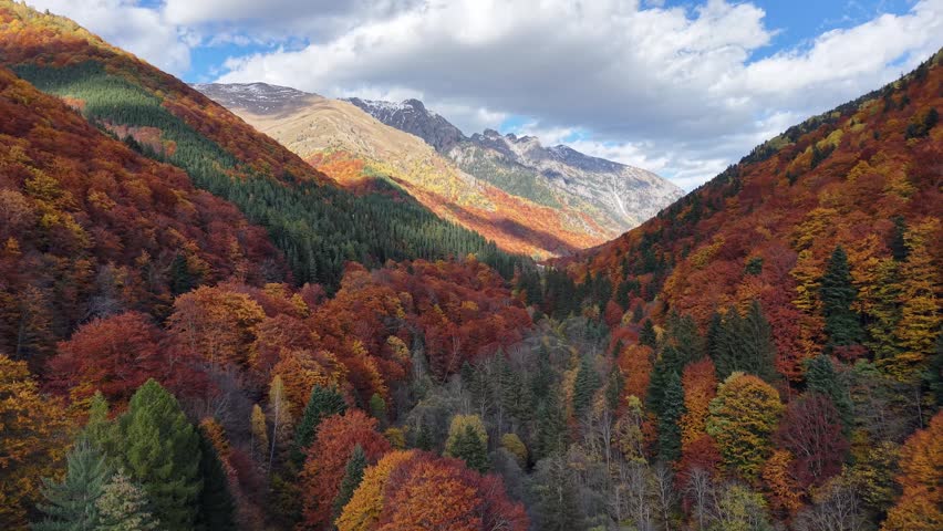 Wide aerial landscape of colorful fall trees, evergreen forest, and mountainous terrain.