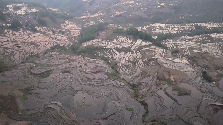Aerial view of the intricate terraced fields, reflecting the sky in Yuanyang, showcasing the agricultural landscape, Yuanyang, China.