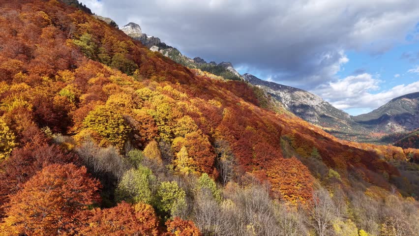 Aerial landscape of bright fall trees on a mountain slope with a distant valley backdrop.