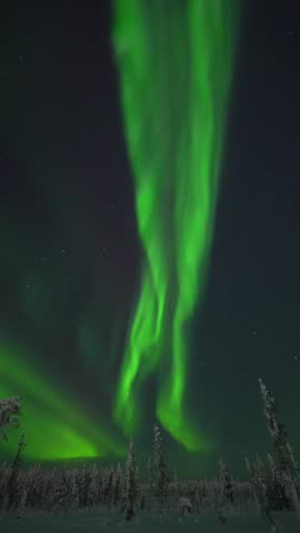 Majestic Green Aurora Borealis Swirling in the Night Sky Above a Frozen Winter Forest