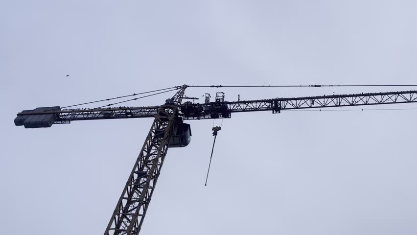 Static shot of a construction tower crane against the sky with birds flying and natural ambient sound. Ideal for industrial, construction and urban background footage.