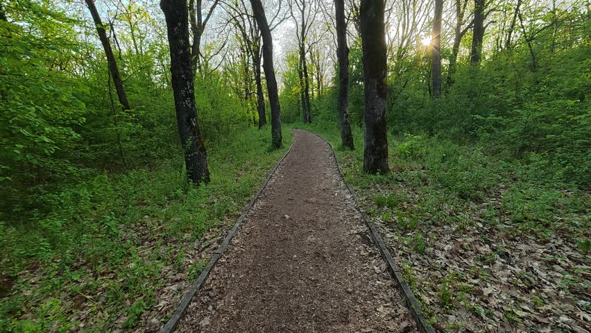 Forest path winds through tall green trees. Sunlight filters through canopy softly. Dirt trail invites quiet exploration. No people, animals, or signs in view. Location: Balkan, Eastern Europe. Sumarice park, Kragujevac.