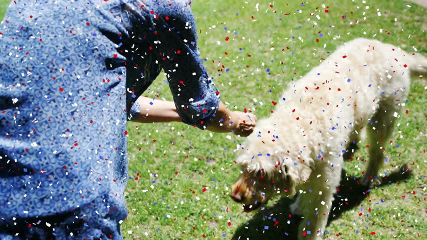 Woman reaching, placing hands on dog neck, steadying dog for pet care, confetti overlaying scene. Canine, petting, outdoors, lawn, sunlight, bonding, interaction