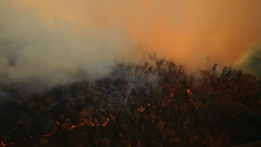 Wildfire burning out of control, spreading through a dense forest and creating a thick plume of smoke