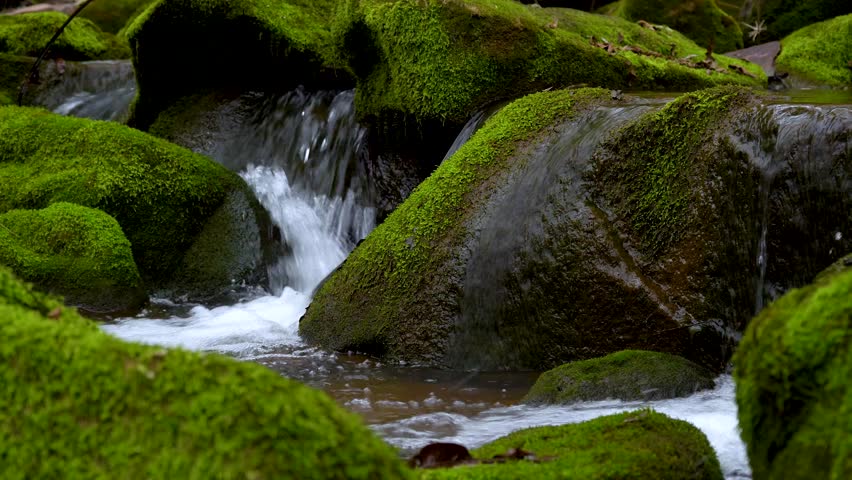 Crystal Stream Flowing Gently Over Rocks Through a Lush Mountain Valley