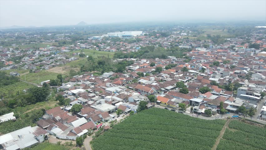 Aerial view of a dense residential area and green cornfields in a rural Indonesian village.