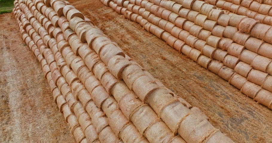 Rows of round straw bales stacked in a field after harvest