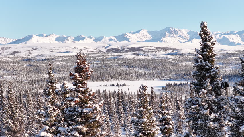 Aerial view of alaskan mountain range covered in snow with snow covered trees in the foreground
