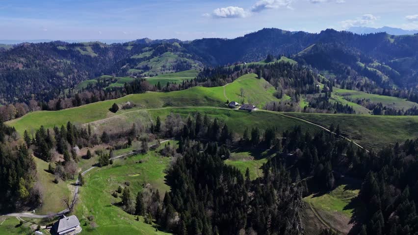 Scenic Emmental Swiss countryside with rolling green meadows, pine forest, and distant mountains under a blue sky.