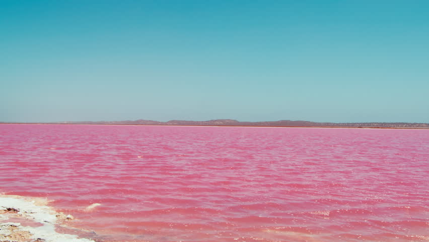 Pink lake in Western Australia with its vivid water and clear blue sky during a sunny day.