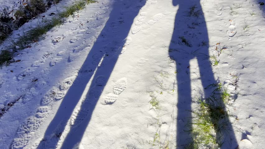 Shadows in the snow on a path in the Swabian Forest, South Germany