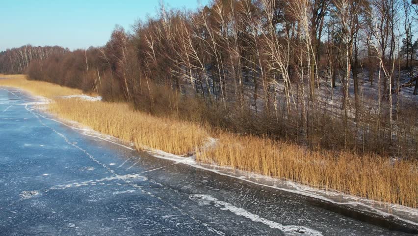 Cinematic drone side-sliding (trucking) shot capturing a frozen lake surface with visible ice textures, golden reeds on the shore, and a dense mixed forest in the background under a clear blue sky. High-angle winter landscape scenery with natural daylight.