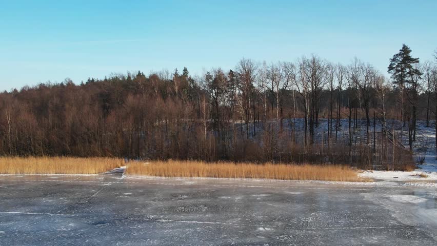 Cinematic drone side-sliding (trucking) shot capturing a frozen lake surface with visible ice textures, golden reeds on the shore, and a dense mixed forest in the background under a clear blue sky. High-angle winter landscape scenery with natural daylight.