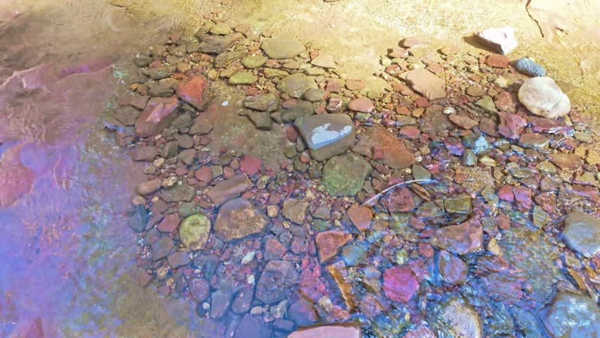 Scenic West Fork Trail follows Oak Creek through red rock canyon landscape near Sedona Arizona