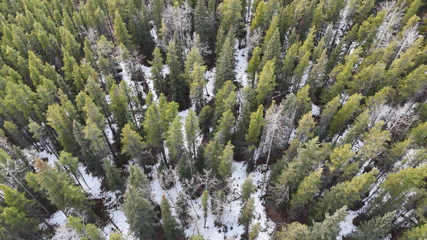 A cinematic collection of aerial drone images capturing the rugged beauty of the Rocky Mountains during the transition from winter to early spring. From a top-down perspective, a winding alpine river cuts through a rocky canyon, its turquoise and emerald waters flowing over layered stone, forming small rapids, cascades, and calm pools. The clarity of the water reveals intricate textures beneath the surface, while braided channels, gravel bars, and exposed riverbeds create organic patterns that resemble natural abstract art.

Dense evergreen forests surround the river, forming deep green clusters that contrast with pale rock, sand, and lingering snow. From above, the trees appear textured and layered, following the contours of the terrain and emphasizing elevation changes across the landscape. Patches of snow and thin ice remain along shaded banks and forest edges, highlighting the seasonal shift and adding visual contrast between frozen and flowing elements.

The aerial perspective reveals dramatic geological features, including exposed rock slabs, eroded canyon walls, and natural river bends that wrap around forested islands and peninsulas. These formations shape the movement of the water while adding depth and scale to the composition. Soft, diffused lighting enhances natural colors and textures, while distant mountain ridges and cloud-filled skies introduce a sense of atmosphere and vastness.

These high-resolution drone images showcase untouched wilderness with no visible human presence, evoking a sense of isolation, tranquility, and raw natural beauty. Ideal for themes such as outdoor adventure, environmental conservation, travel, and landscape design, the collection highlights the Rocky Mountains through a unique aerial perspective, capturing patterns, textures, and seasonal transitions that are rarely seen from ground level.