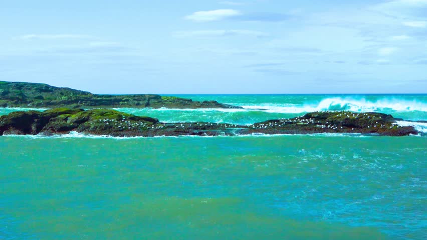 Dynamic turquoise ocean waves dynamically crash onto dark rocks covered with white birds. Scenic coastal landscape with dramatic sea motion and natural beauty.