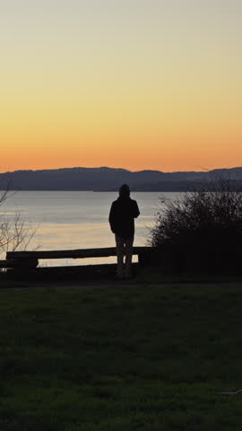 Silhouette of a person smoking while watching a sunset over the ocean, with orange sky and foreground grass. Calm, moody coastal scene at golden hour.
