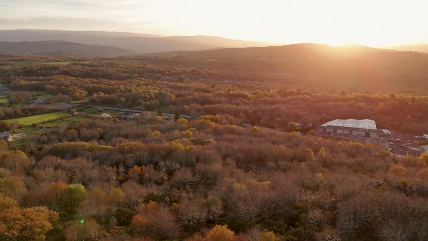 Aerial view of a beautiful forest with autumn colors during a scenic and warm sunset