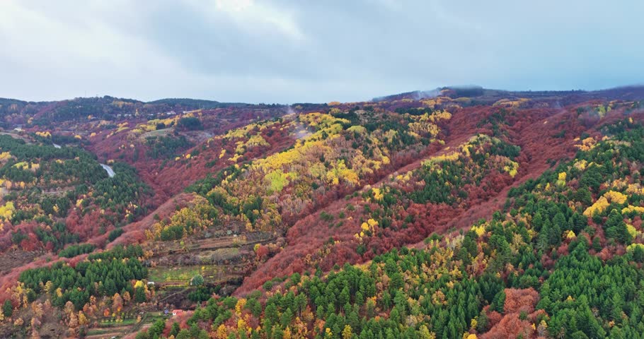 An aerial view of a vibrant autumn forest covering rolling mountains, partially obscured by soft fog and mist.