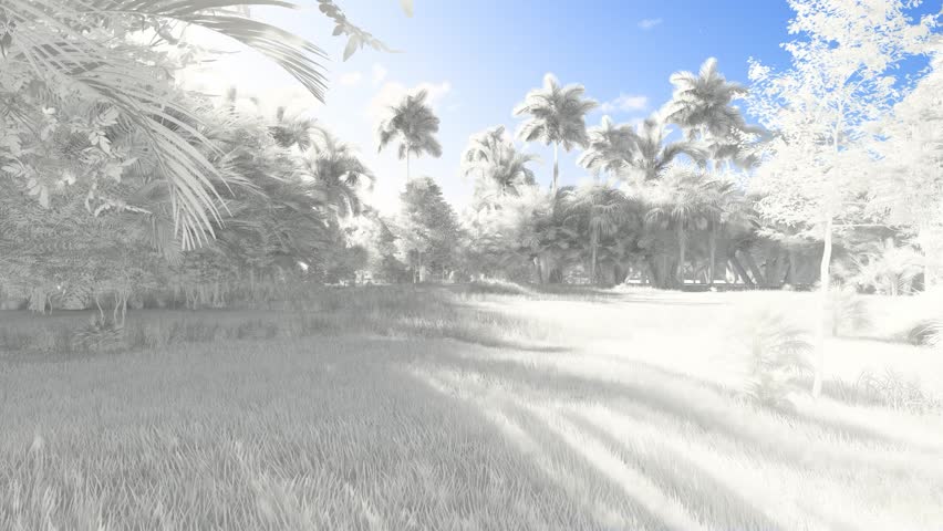 Serene high-key 3D render of a tropical palm grove with minimalist white vegetation under a clear blue sky.