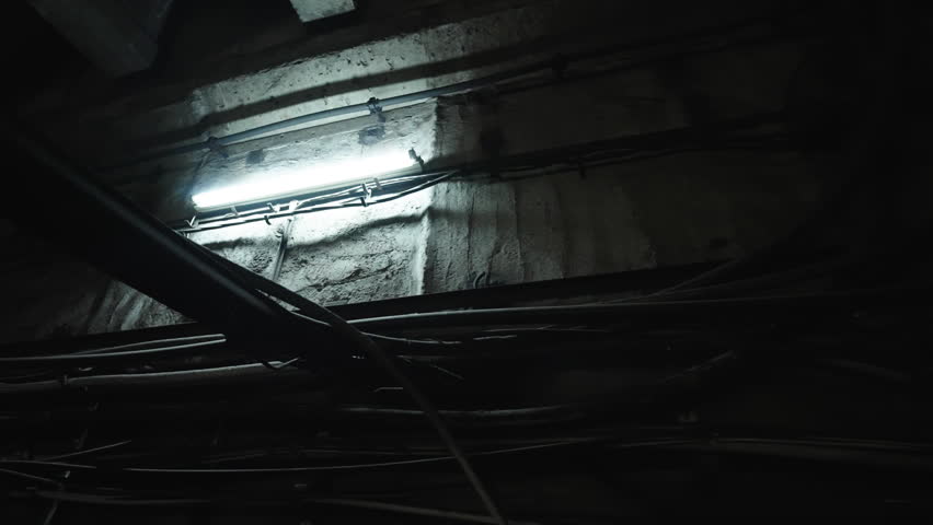 Dimly lit underground tunnel wall with a fluorescent tube casting cold illumination across rough concrete, as tangled utility cables and conduits reveal aging infrastructure.