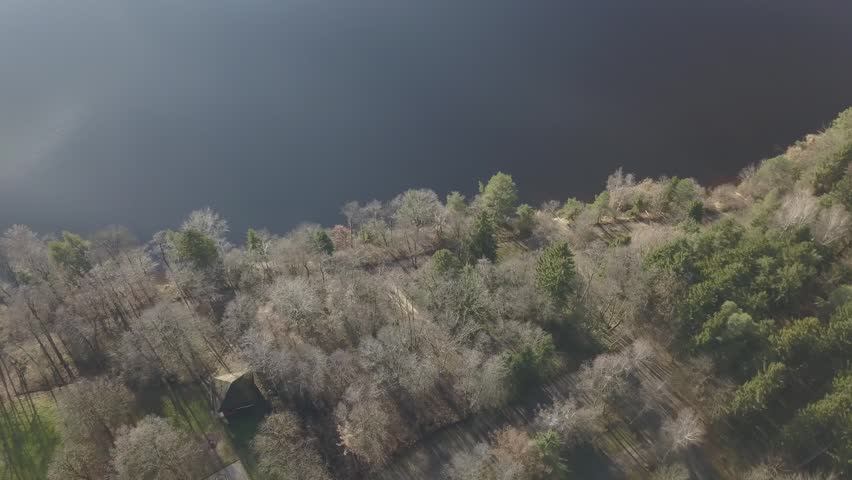 Aerial view of lakeshore with trees and scattered houses, calm natural landscape with water edge and rural buildings, peaceful atmosphere