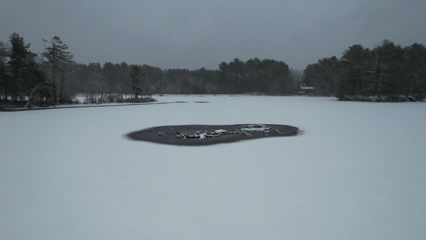 Freezing logs and branches in the middle of a lake during winter, heavy snowfall, amazing winter environment in Massachusetts, USA