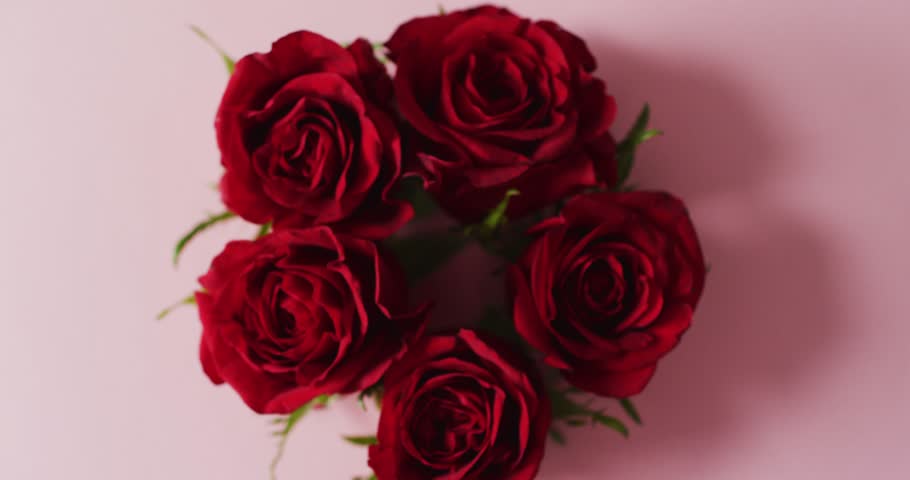 Bouquet of red roses on pink background at valentine