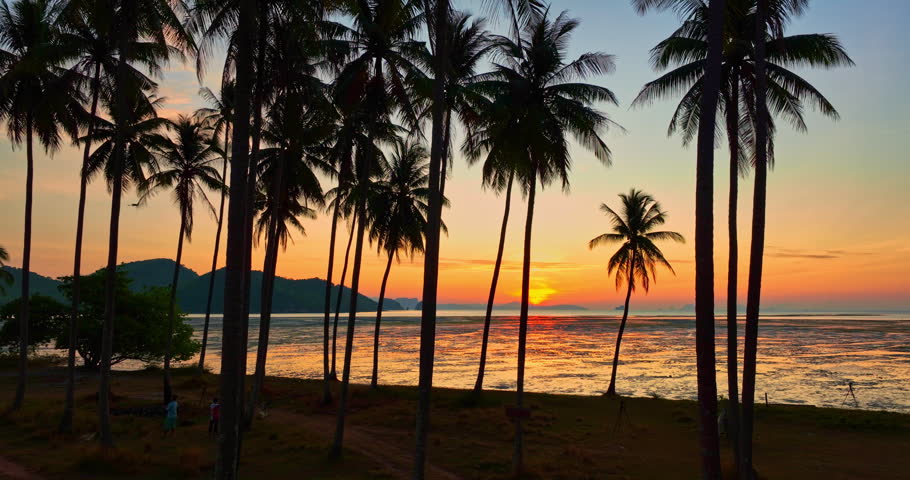 Sunrise Reflections on Calm Water and Coconut Shade.
Golden light glimmers across calm waves as coconut trees cast long silhouettes, reflecting the beauty of dawn at Laem Had Beach.
