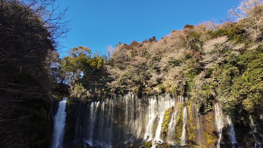 A wide shot of the iconic Shiraito Falls in Japan, featuring hundreds of thin white streams cascading down a mossy cliff into a clear basin surrounded by lush green forest.