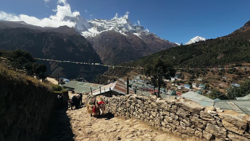 Caravan of yaks climbing stone steps in Namche Bazaar, Nepal, with scenic Himalayan mountains in the background on a sunny day. Authentic mountain life and trekking route to Everest Base Camp