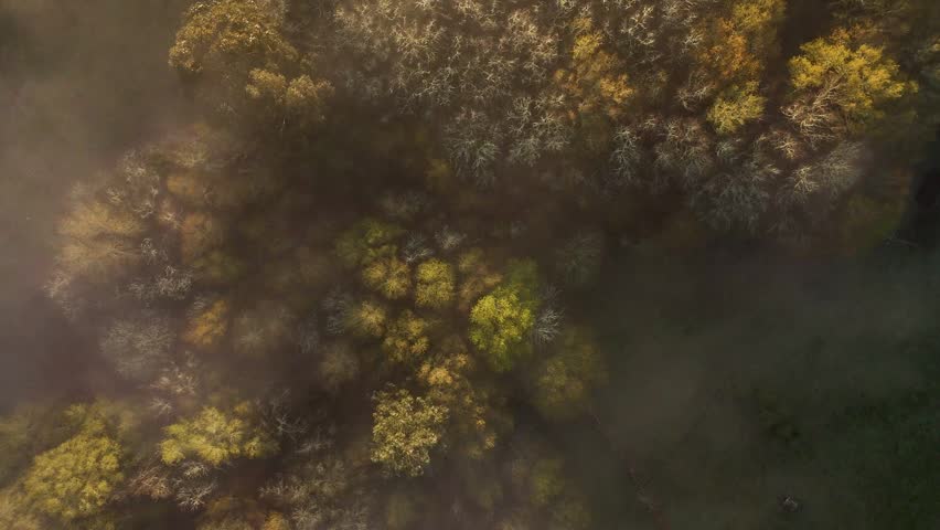 Aerial top down view of fog moving over colorful autumn trees illuminated by the morning sun