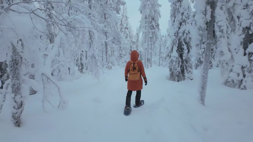 Experience the magic of Akaslompolo in Lapland, Finland as a lone adventurer explores a serene, snow-covered forest, surrounded by towering evergreens and glistening snowflakes.