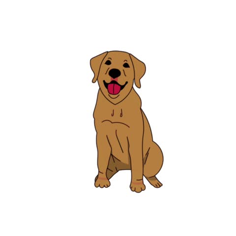 Happy brown labrador retriever dog sitting on a white background
