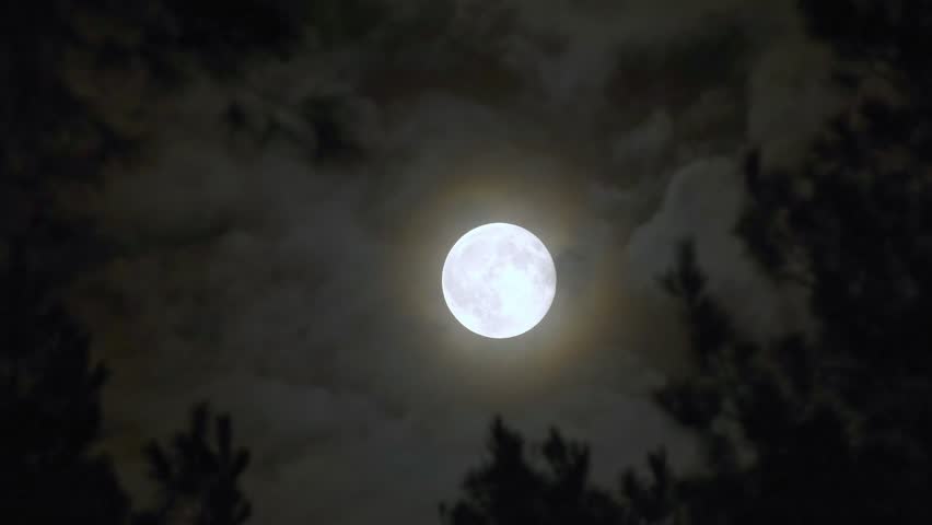 Full Moon Behind Dark Clouds Dramatic Night Sky Scene. Moonlight with Moving Clouds and Tree Silhouettes Night Mood. Mystical Full Moon Behind Clouds Dark Nature Background