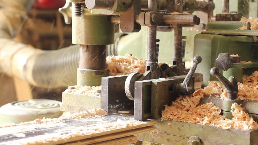 Wood polishing process at sawmill factory