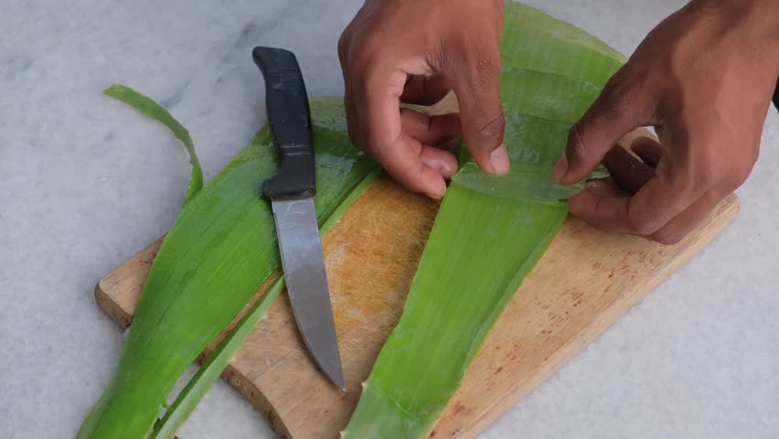 slicing fresh aloe vera leaves to extract clear organic gel