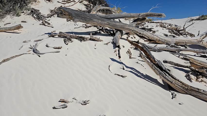 Expansive Dunes of White Sands National Park Under Clear Blue Sky With Wind-Sculpted Ripples And Wide Horizon, New Mexico, United States.