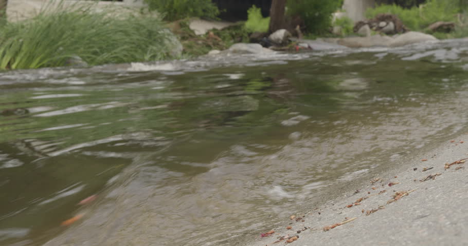 Cinematic daytime 4K 10-bit footage captured close to the riverbank of the Los Angeles River in the opposite direction, featuring flowing water with visible vegetation and trees